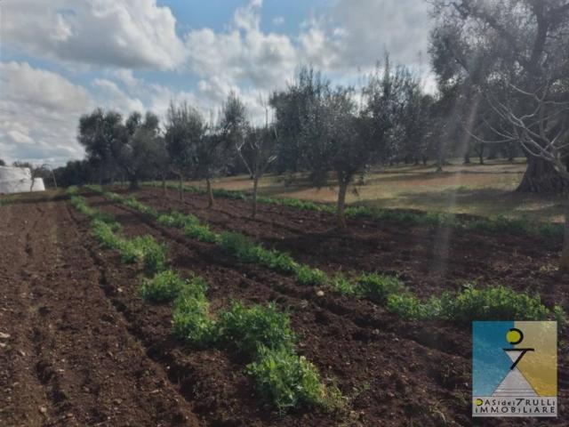 Terreno in vendita a San Michele Salentino BR
