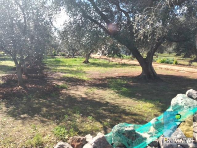 Terreno in vendita a San Michele Salentino BR