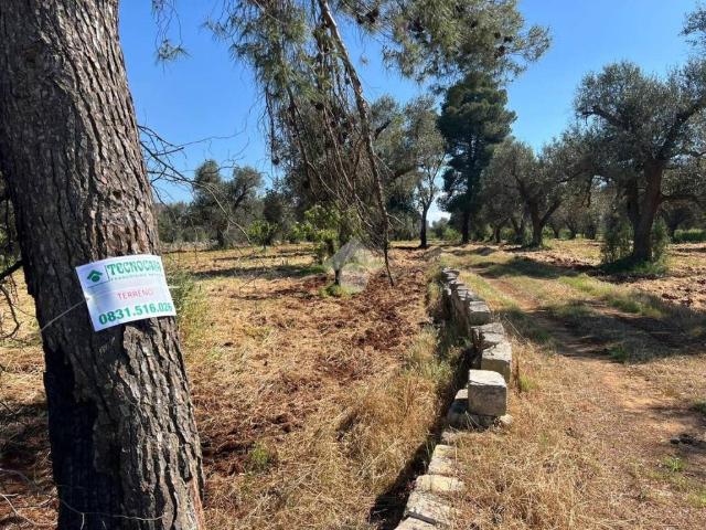 Terreno in vendita a San Michele Salentino BR