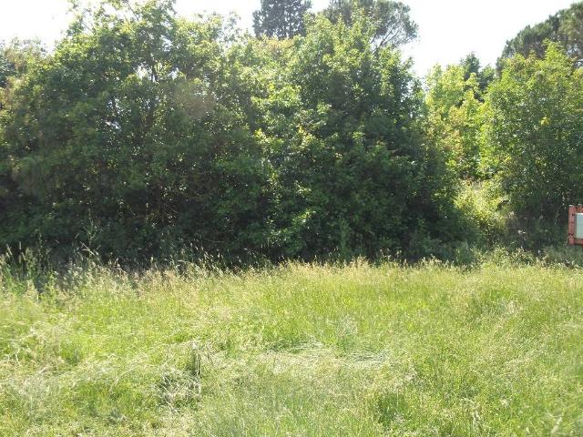 Terreno in vendita a San Miniato PI