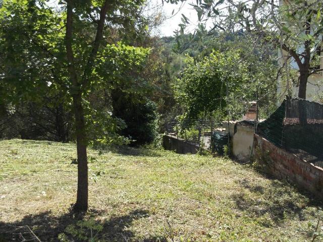 Terreno in vendita a San Miniato PI