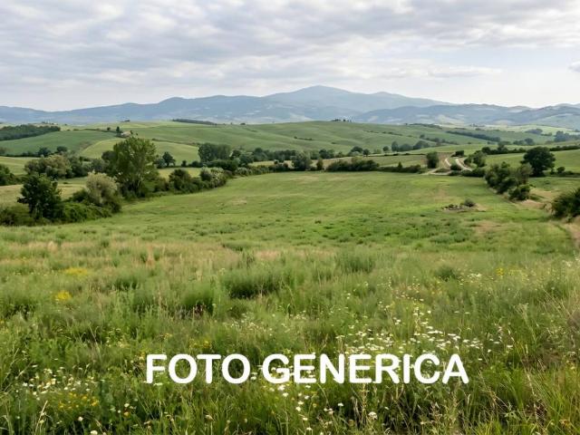 Terreno in vendita a San Miniato PI
