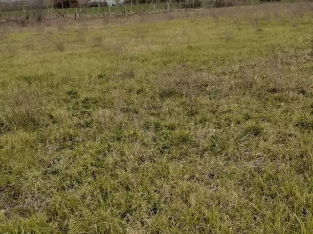 Terreno in vendita a San Miniato PI