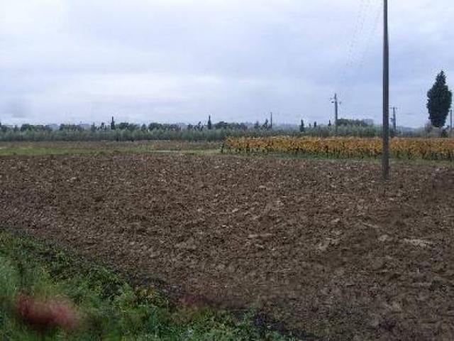 Terreno in vendita a San Miniato PI