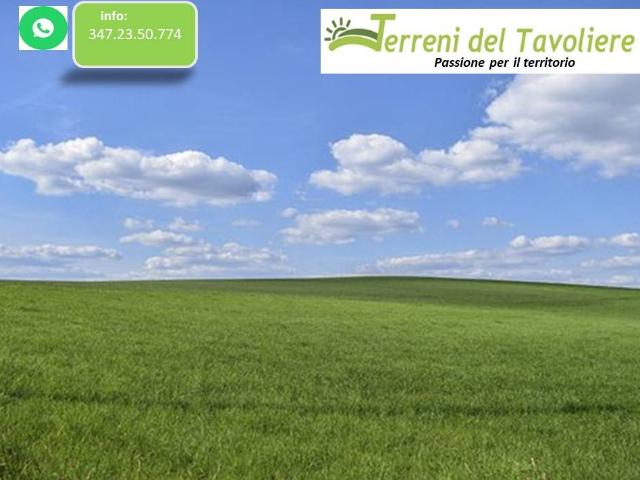 Terreno in vendita a San Severo FG