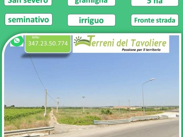 Terreno in vendita a San Severo FG
