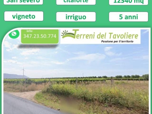 Terreno in vendita a San Severo FG