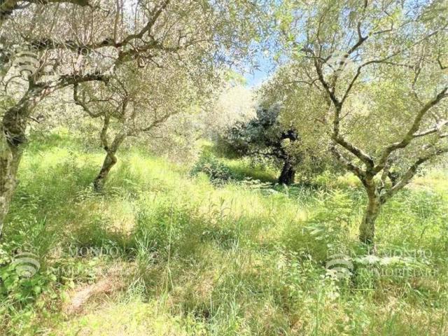 Terreno in vendita a San Polo dei Cavalieri RM