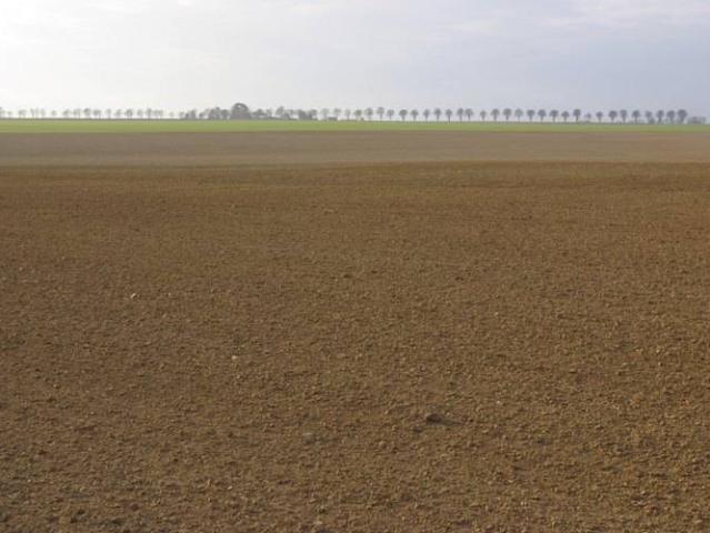 Terreno in vendita a San Possidonio MO