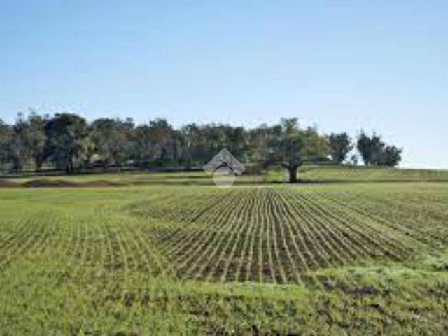 Terreno in vendita a San Paolo d'Argon BG
