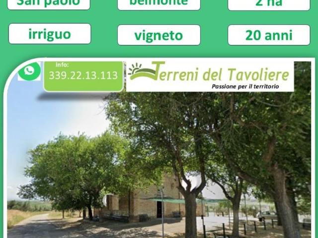 Terreno in vendita a San Paolo di Civitate FG