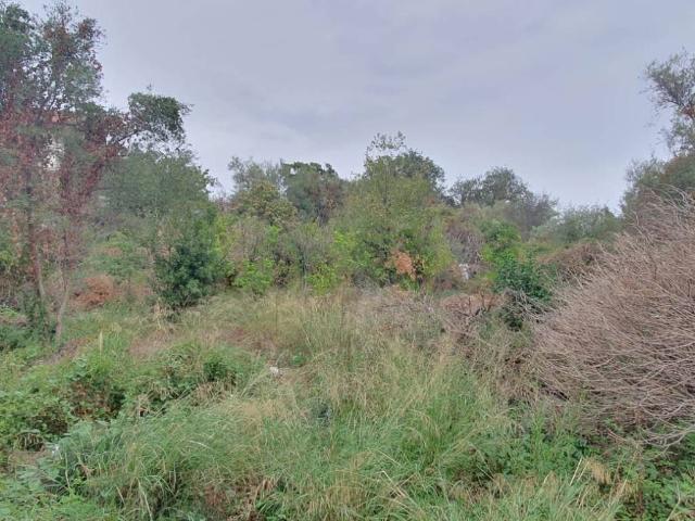 Terreno in vendita a San Pietro Clarenza CT