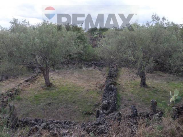 Terreno in vendita a San Pietro Clarenza CT