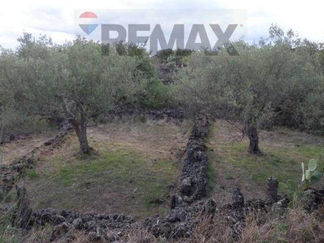 Terreno in vendita a San Pietro Clarenza