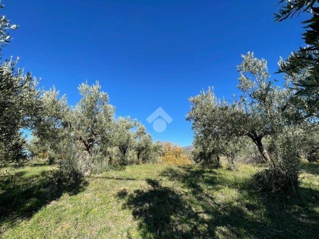 Terreno in vendita a San Pietro in Guarano CS