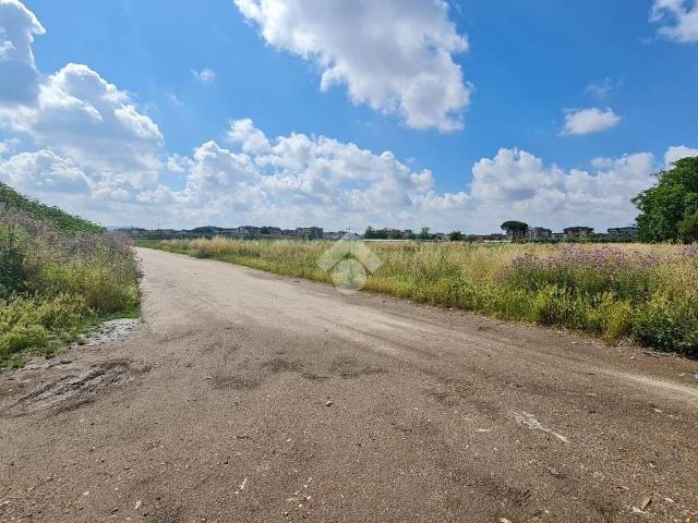 Terreno in vendita a San Prisco CE