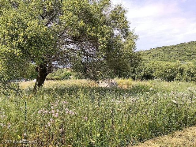 Terreno in vendita a San Teodoro SS