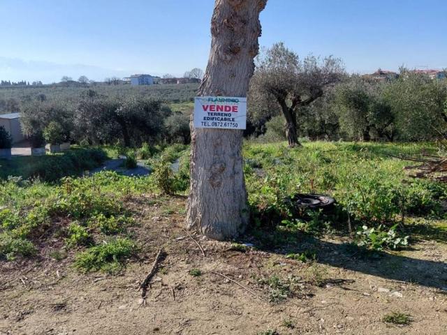 Terreno in vendita a San Vito Chietino CH