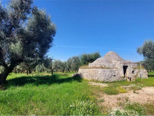 Terreno in vendita a San Vito dei Normanni BR
