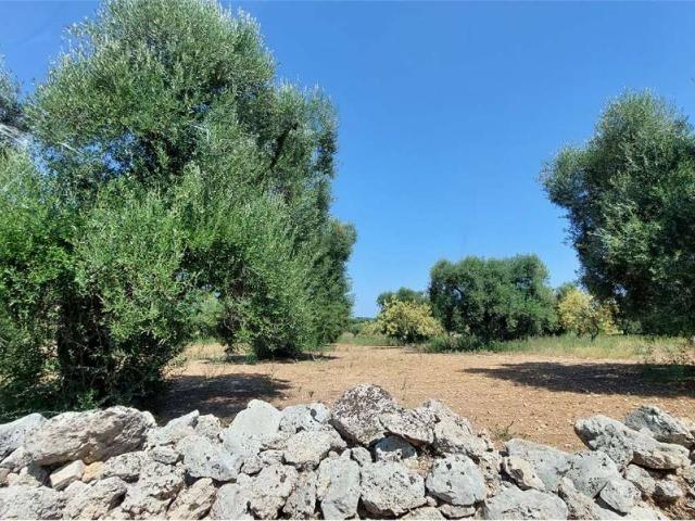 Terreno in vendita a San Vito dei Normanni BR
