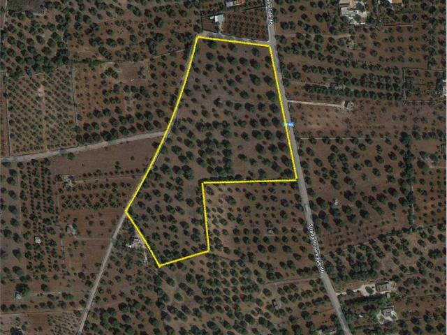 Terreno in vendita a San Vito dei Normanni BR
