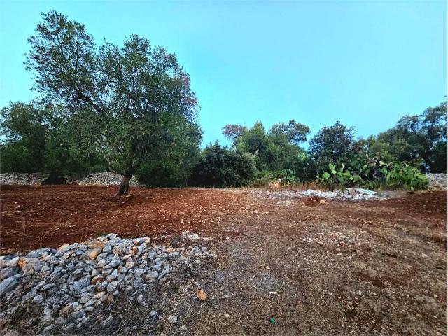 Terreno in vendita a San Vito dei Normanni BR