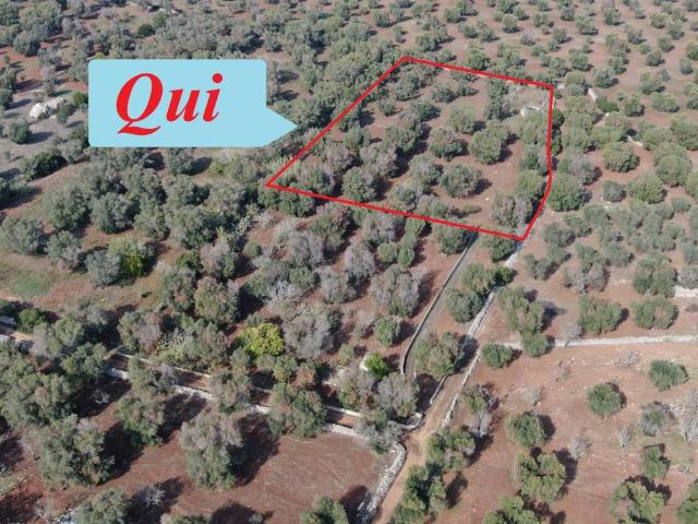 Terreno in vendita a San Vito dei Normanni BR