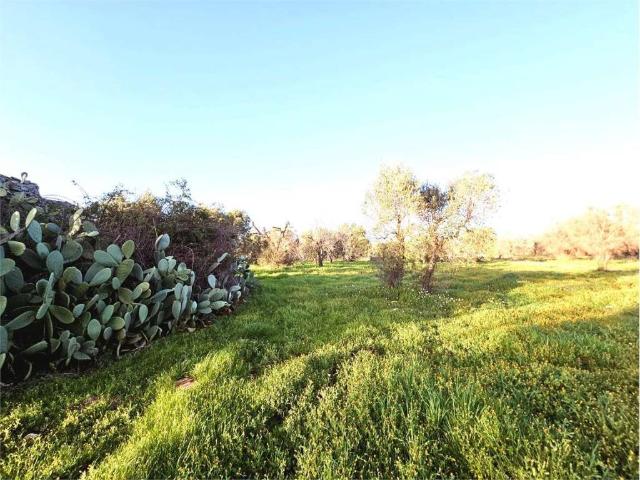 Terreno in vendita a San Vito dei Normanni BR