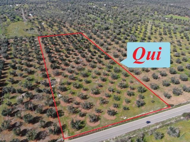 Terreno in vendita a San Vito dei Normanni BR