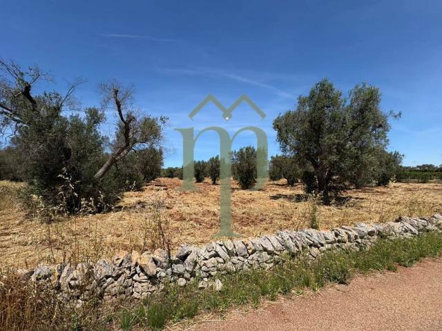 Terreno in vendita a San Vito dei Normanni BR