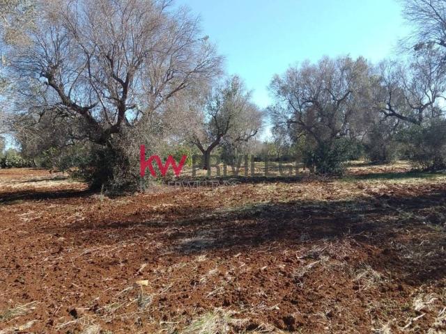 Terreno in vendita a San Vito dei Normanni BR