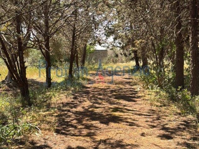 Terreno in vendita a San Vito dei Normanni BR