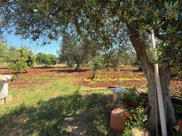 Terreno in vendita a San Vito dei Normanni BR
