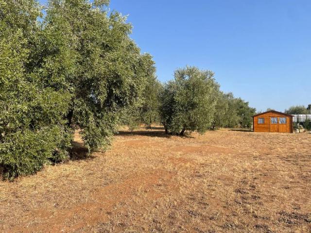 Terreno in vendita a San Vincenzo LI