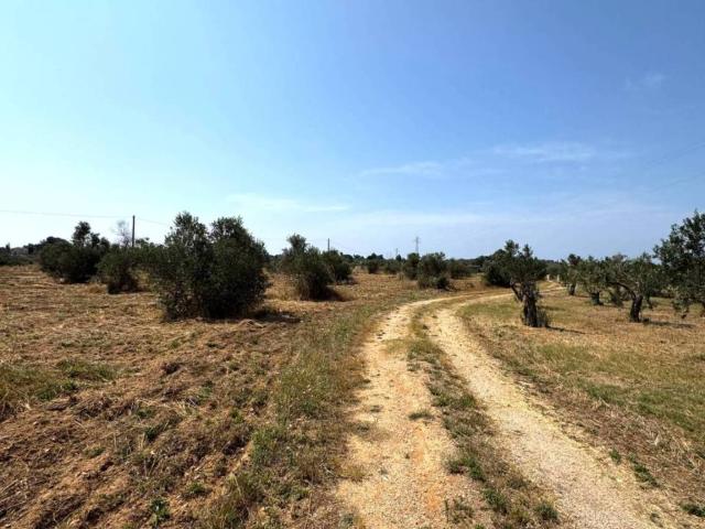 Terreno in vendita a Sannicola LE
