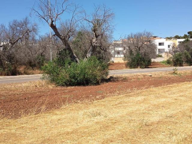 Terreno in vendita a Sannicola LE
