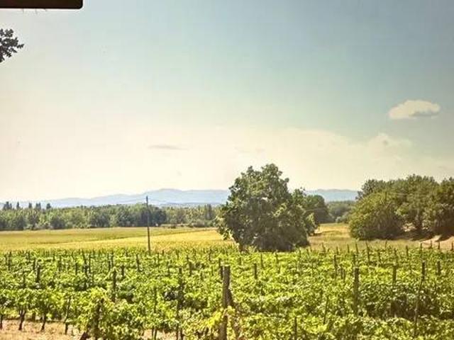Terreno in vendita a Sansepolcro AR