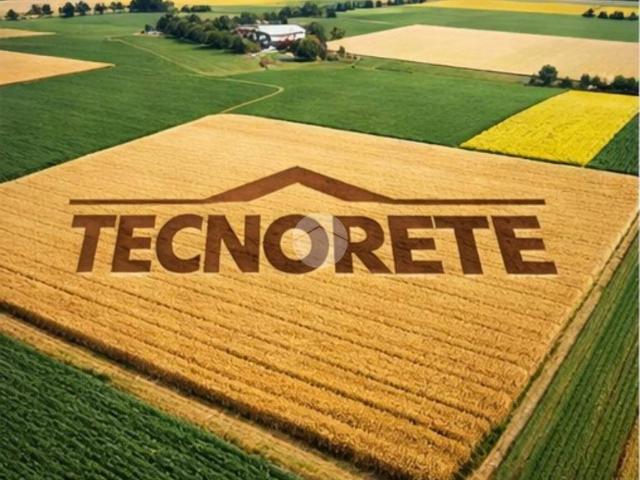 Terreno in vendita a Saonara PD