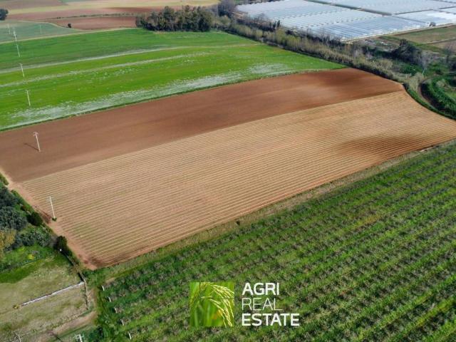 Terreno in vendita a Sabaudia LT