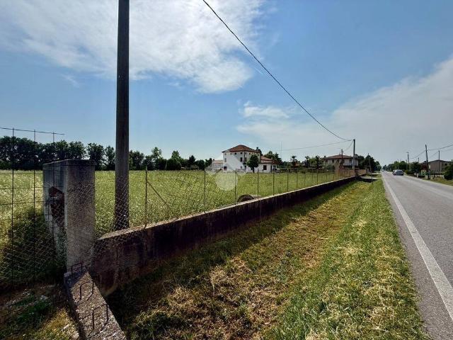 Terreno in vendita a Saccolongo PD