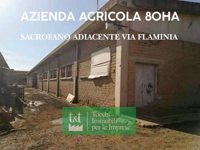 Terreno in vendita a Sacrofano RM