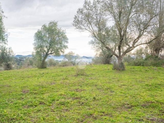 Terreno in vendita a Sacrofano RM