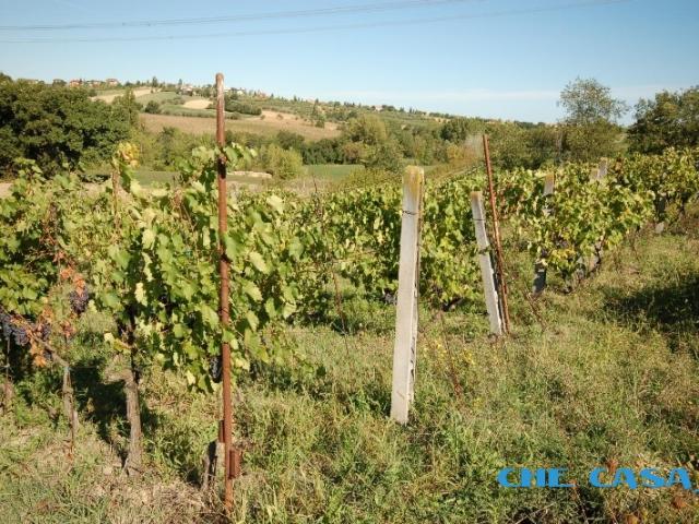 Terreno in vendita a Saludecio