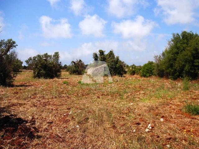 Terreno in vendita a Salve LE