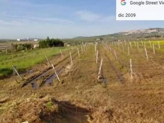 Terreno in vendita a Salemi TP