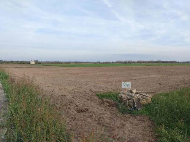 Terreno in vendita a Salice Salentino LE