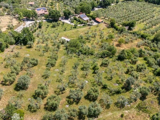 Terreno in vendita a Salisano RI