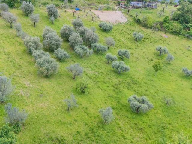 Terreno in vendita a Salisano RI