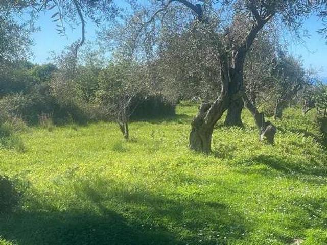 Terreno in vendita a Saponara ME