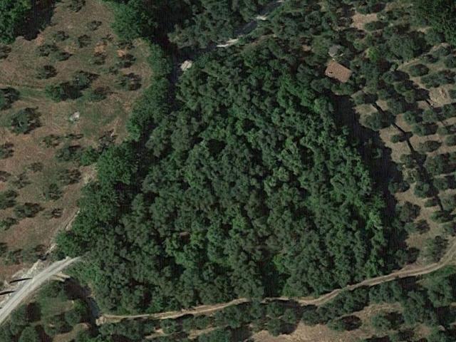 Terreno in vendita a Sarteano